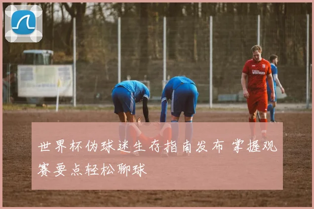 世界杯伪球迷生存指南发布 掌握观赛要点轻松聊球
